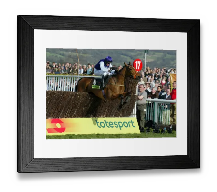 Framed Print : Kicking King Framed Print : Kicking King