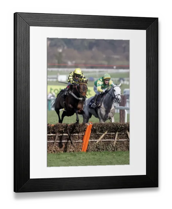 Framed Print : Brewster & Bob Bob Bobbin