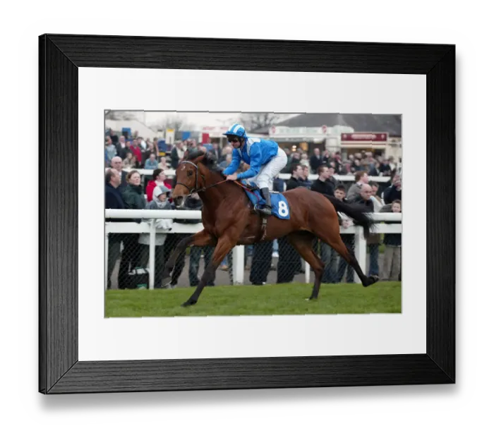 Framed Print : Museeb Ridden By R.Hills Lincoln Meeting Doncaster Doncaster Racecourse Framed Print : Museeb Ridden By R.Hills Lincoln Meeting Doncaster Doncaster Racecourse