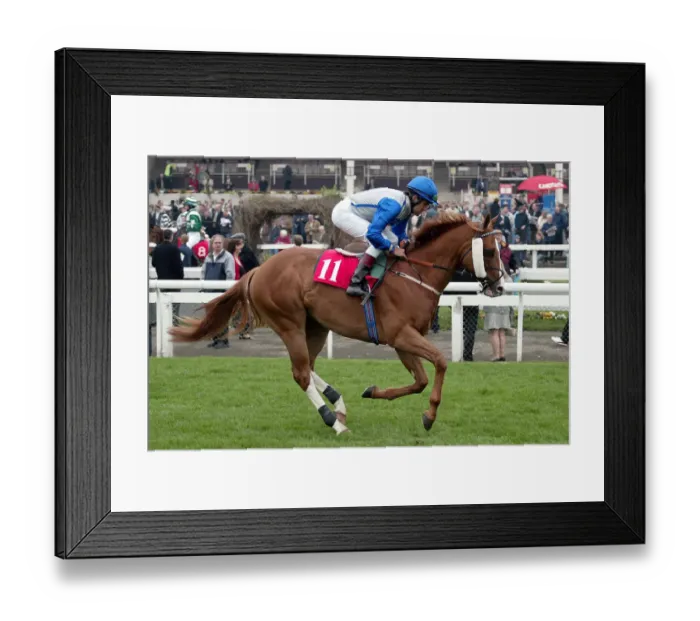 Framed Print : Rydal Ridden By D.Holland Lincoln Meeting Doncaster Doncaster Racecourse Framed Print : Rydal Ridden By D.Holland Lincoln Meeting Doncaster Doncaster Racecourse