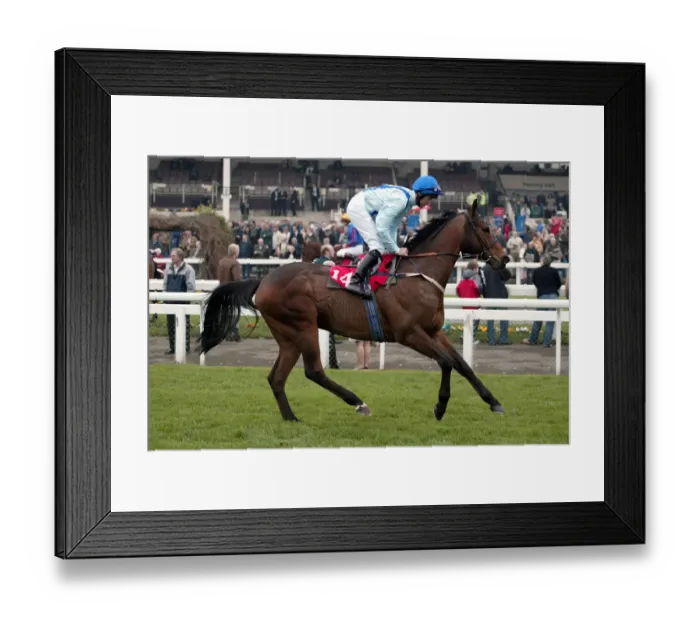Framed Print : Ellens Academy Framed Print : Ellens Academy