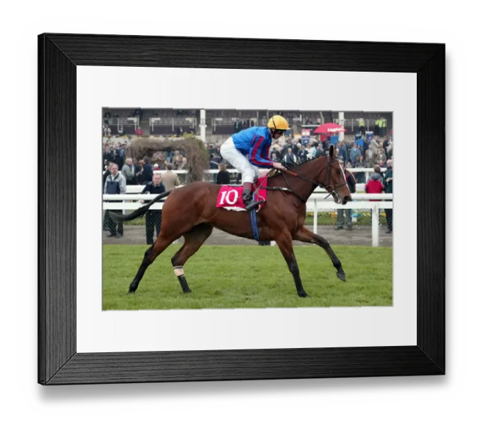 Framed Print : Saristar Ridden By L.Dettori Lincoln Meeting Doncaster Doncaster Racecourse Framed Print : Saristar Ridden By L.Dettori Lincoln Meeting Doncaster Doncaster Racecourse