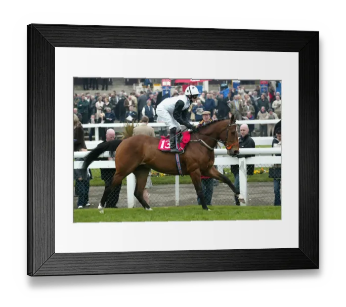 Framed Print : Merlins Dancer