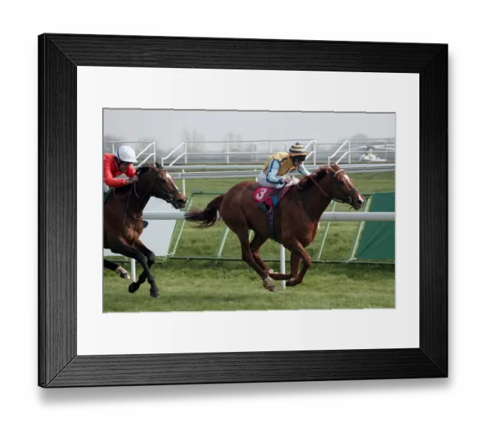 Framed Print : Counsels Opinion Framed Print : Counsels Opinion