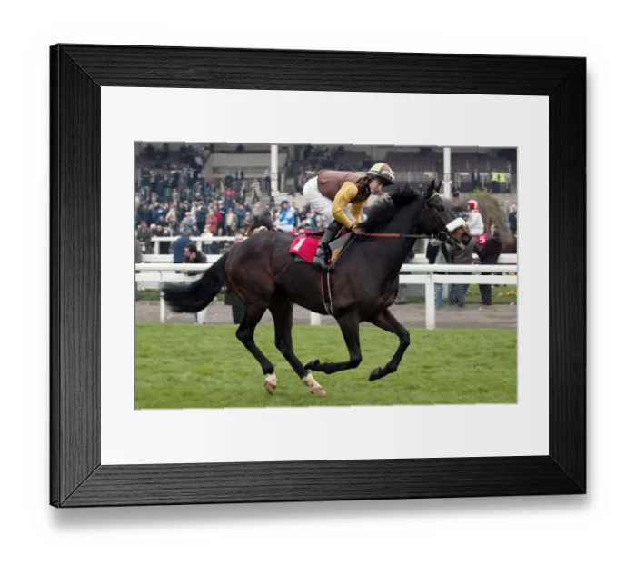 Framed Print : Autumn Glory Framed Print : Autumn Glory