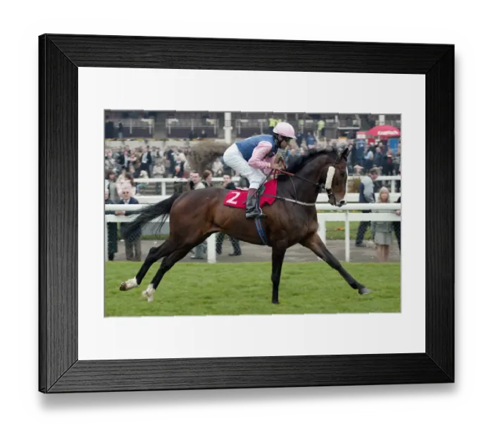 Framed Print : Audience Ridden By D.Holland Lincoln Meeting Doncaster Doncaster Racecourse