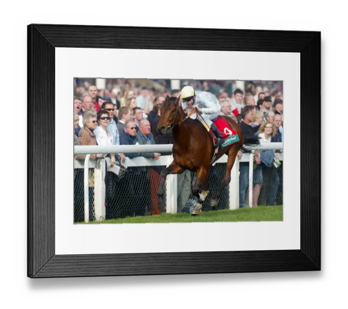 Framed Print : Stream Of Gold Framed Print : Stream Of Gold