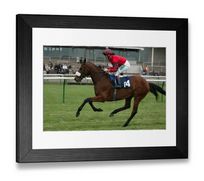 Framed Print : Prince Of Thebes