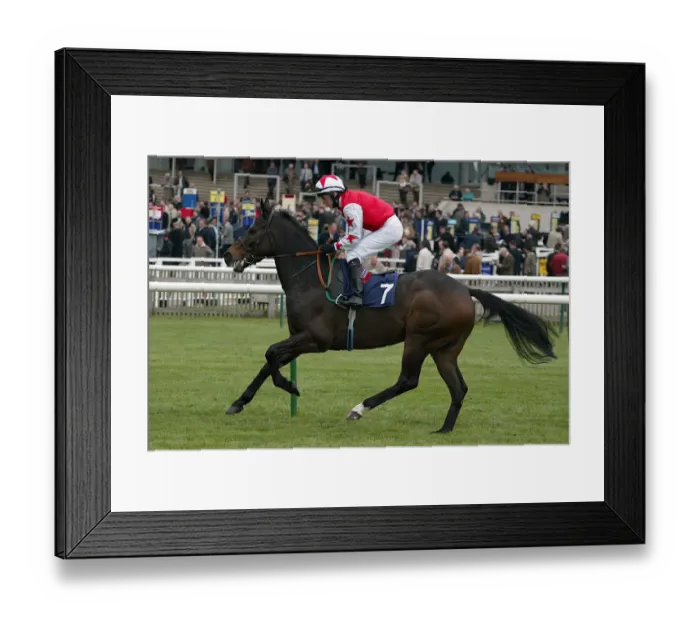 Framed Print : Fantasy Believer Framed Print : Fantasy Believer