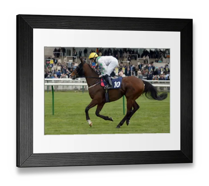 Framed Print : Moayed Ridden By J.P.Spencer Newmarket Craven Meeting 2005 Newmarket Racecourse Framed Print : Moayed Ridden By J.P.Spencer Newmarket Craven Meeting 2005 Newmarket Racecourse