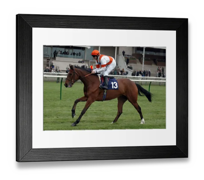 Framed Print : Oasis Star Framed Print : Oasis Star