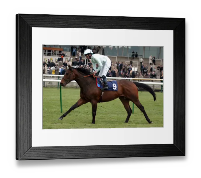 Framed Print : Jedburgh Ridden By M.J.Kinane Newmarket Craven Meeting 2005 Newmarket Racecourse Framed Print : Jedburgh Ridden By M.J.Kinane Newmarket Craven Meeting 2005 Newmarket Racecourse