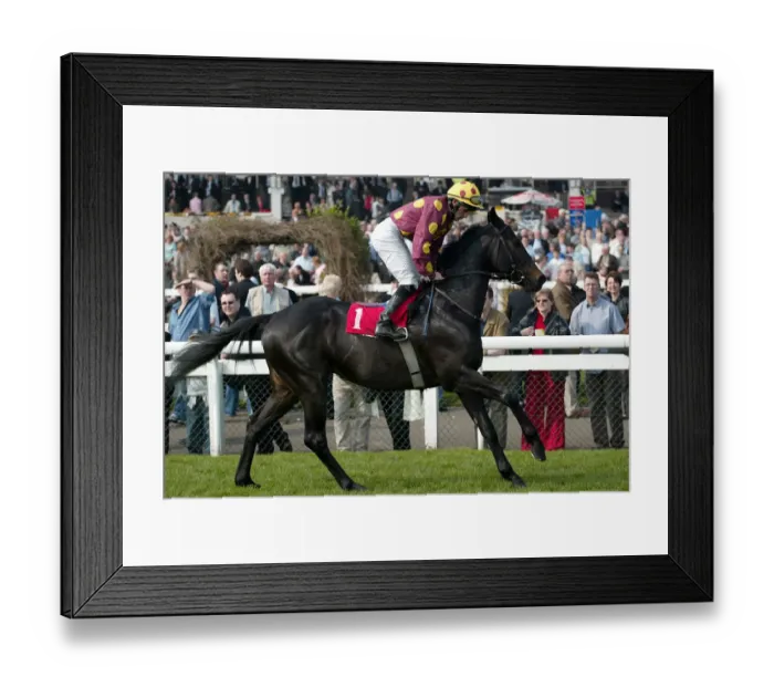 Framed Print : Orientor Ridden By N.Callan Lincoln Meeting Doncaster Doncaster Racecourse Framed Print : Orientor Ridden By N.Callan Lincoln Meeting Doncaster Doncaster Racecourse