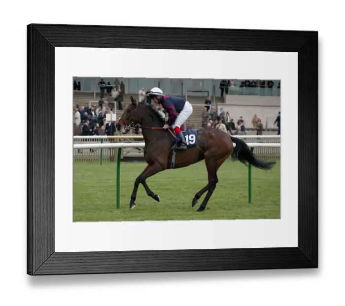 Framed Print : Indian Steppes Framed Print : Indian Steppes