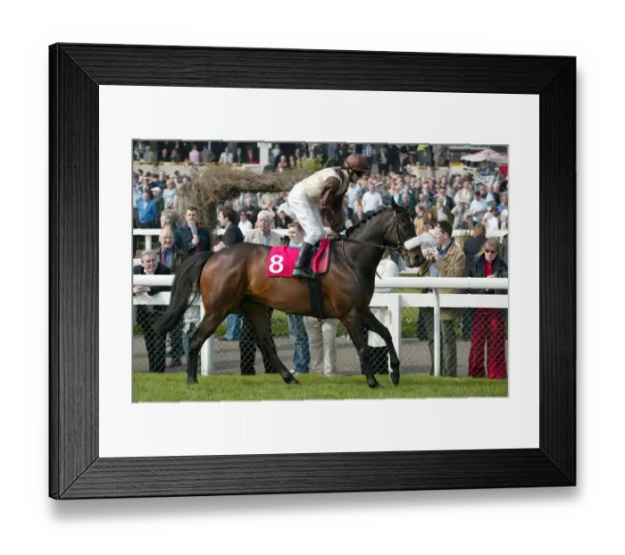 Framed Print : Smokin Beau Framed Print : Smokin Beau
