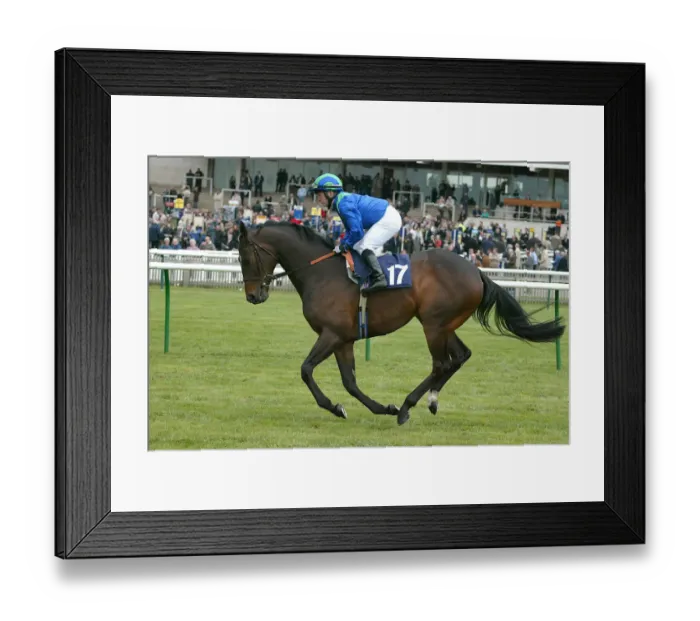 Framed Print : Master Robbie Framed Print : Master Robbie