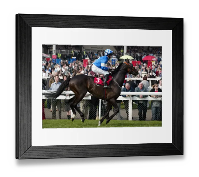 Framed Print : Quito Ridden By A.Culhane Lincoln Meeting Doncaster Doncaster Racecourse Framed Print : Quito Ridden By A.Culhane Lincoln Meeting Doncaster Doncaster Racecourse