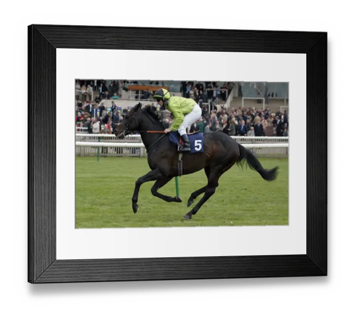 Framed Print : European Ridden By S.Sanders Newmarket Craven Meeting 2005 Newmarket Racecourse Framed Print : European Ridden By S.Sanders Newmarket Craven Meeting 2005 Newmarket Racecourse