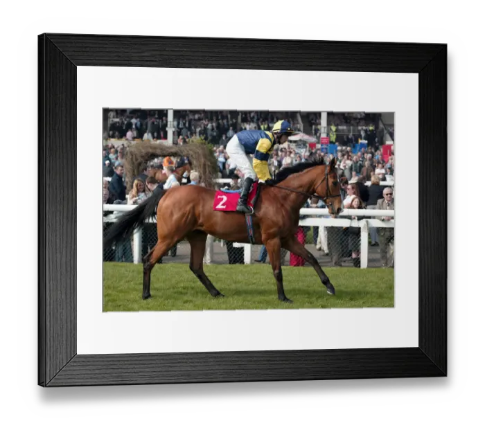 Framed Print : Royal Millenium