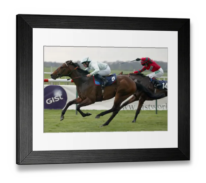 Framed Print : Jedburgh Ridden By M.J.Kinane Newmarket Craven Meeting 2005 Newmarket Racecourse Framed Print : Jedburgh Ridden By M.J.Kinane Newmarket Craven Meeting 2005 Newmarket Racecourse