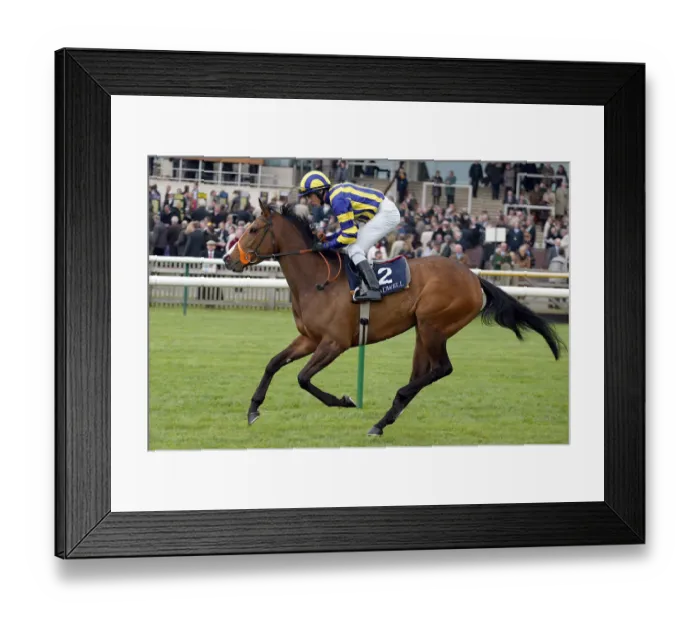 Framed Print : Bahia Breeze Framed Print : Bahia Breeze