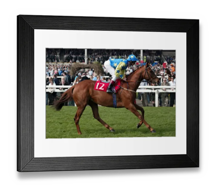Framed Print : Look Here S Framed Print : Look Here S