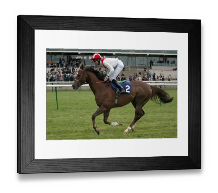 Framed Print : Membership Framed Print : Membership