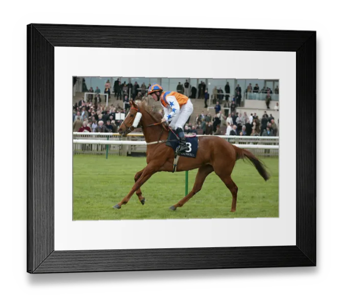 Framed Print : Golden Anthem Framed Print : Golden Anthem