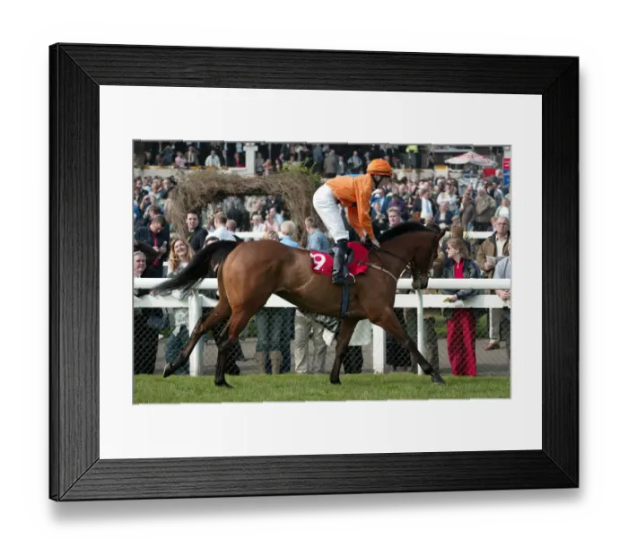 Framed Print : The Kiddykid Framed Print : The Kiddykid