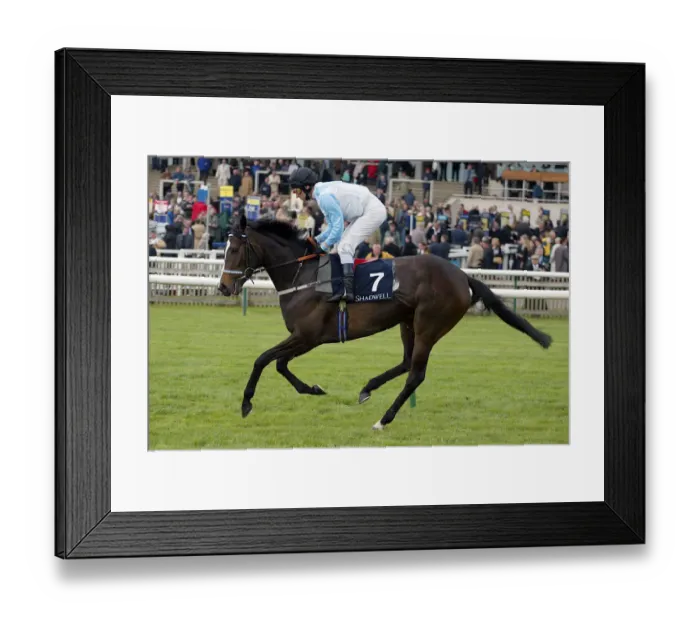 Framed Print : Golden Legacy Framed Print : Golden Legacy