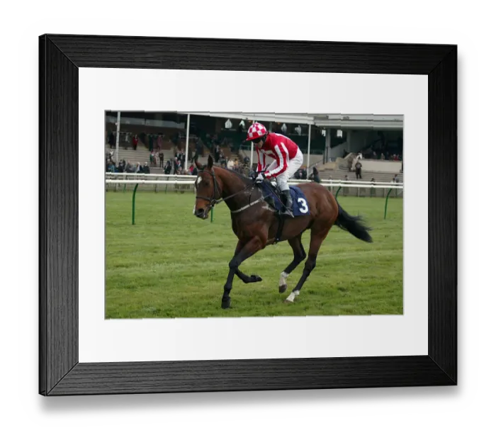 Framed Print : Kings Point Framed Print : Kings Point