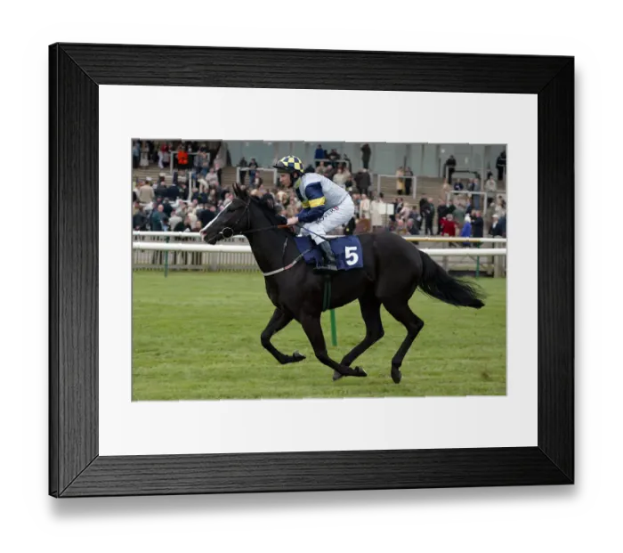 Framed Print : Bijli Ridden By S.Sanders Newmarket Craven Meeting 2005 Newmarket Racecourse Framed Print : Bijli Ridden By S.Sanders Newmarket Craven Meeting 2005 Newmarket Racecourse