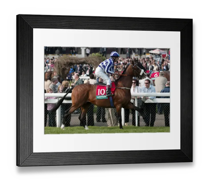 Framed Print : Kings Thought Framed Print : Kings Thought