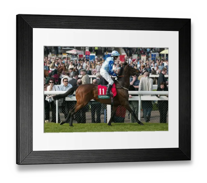 Framed Print : Resplendent Framed Print : Resplendent