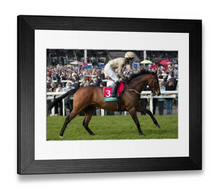 Framed Print : Blue Spinnaker Framed Print : Blue Spinnaker