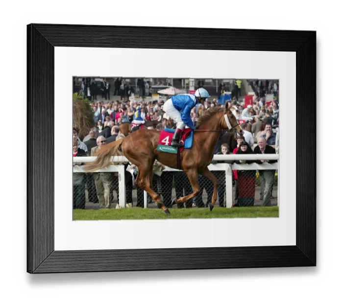 Framed Print : Blythe Knight Framed Print : Blythe Knight