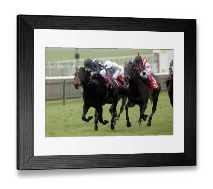 Framed Print : Kamakiri Ahead Of Obe Gold Framed Print : Kamakiri Ahead Of Obe Gold