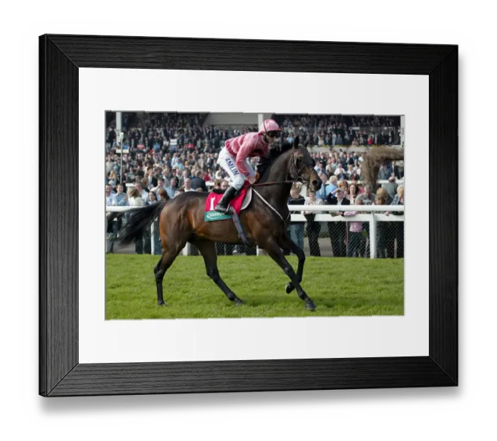 Framed Print : Mine Ridden By Dane T.Quinn Lincoln Meeting Doncaster Doncaster Racecourse Framed Print : Mine Ridden By Dane T.Quinn Lincoln Meeting Doncaster Doncaster Racecourse