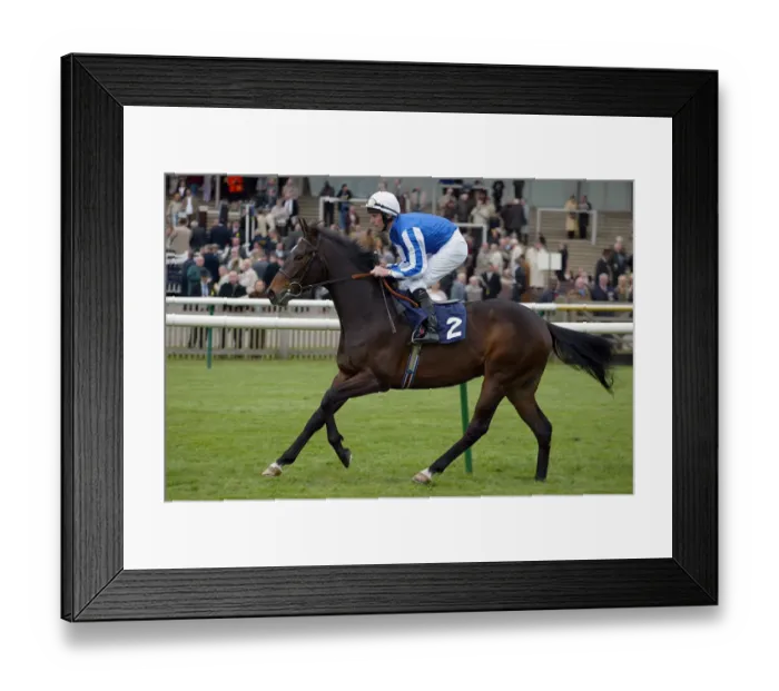 Framed Print : Salute Him Framed Print : Salute Him