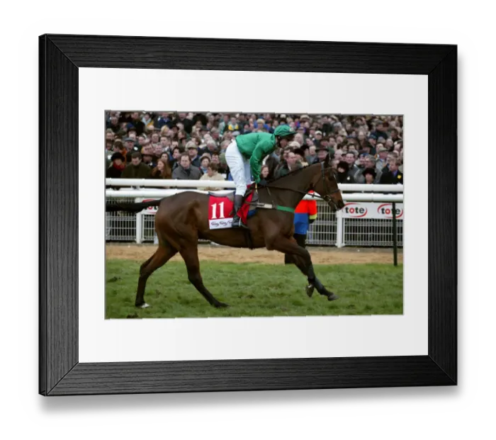 Framed Print : Lord Noelie