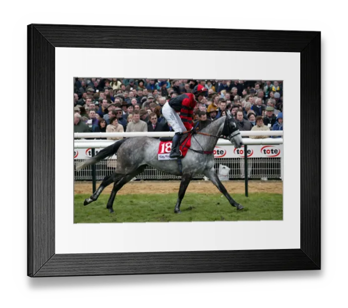 Framed Print : Whats Up Boys Framed Print : Whats Up Boys