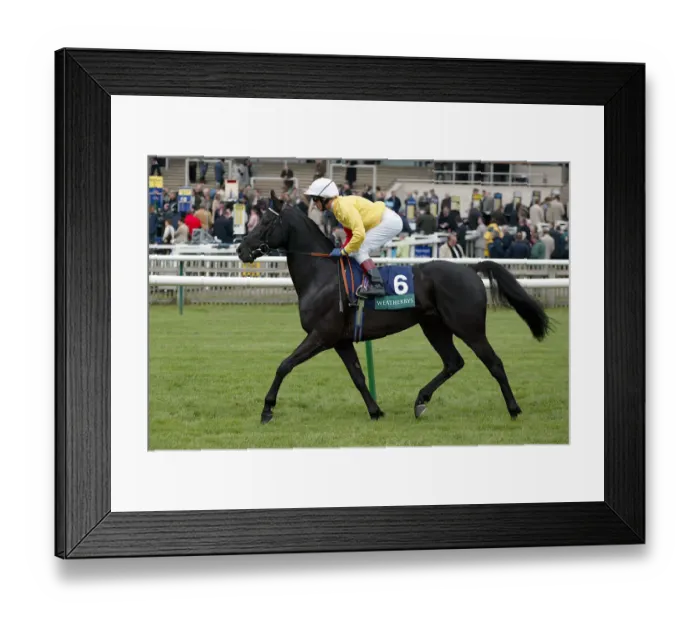 Framed Print : Big Bad Bob Framed Print : Big Bad Bob