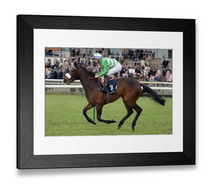 Framed Print : Bon Nuit Ridden By S.Drowne Neewmarket Craven Meeting 2005 Newmarket Framed Print : Bon Nuit Ridden By S.Drowne Neewmarket Craven Meeting 2005 Newmarket