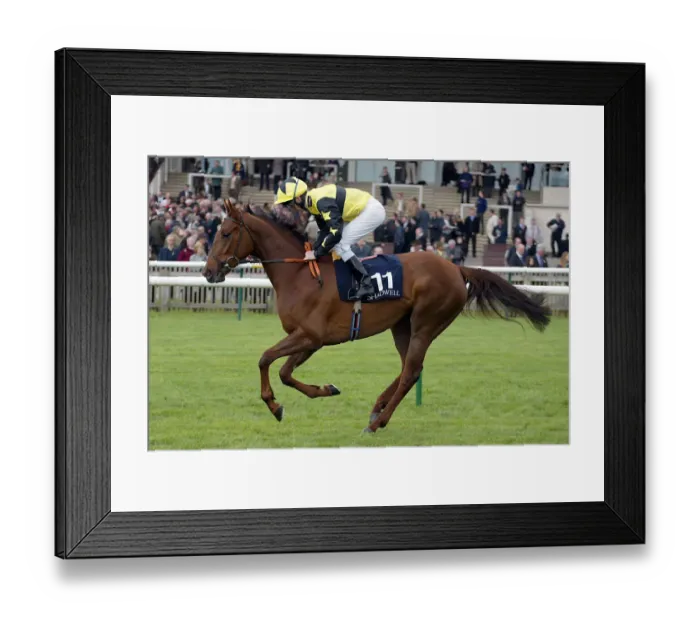 Framed Print : Read Federica Framed Print : Read Federica