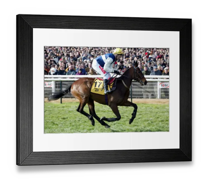 Framed Print : Scolardy Ridden By Charlie Swan Cheltenham Festival 2002 Cheltenham Racecourse Framed Print : Scolardy Ridden By Charlie Swan Cheltenham Festival 2002 Cheltenham Racecourse