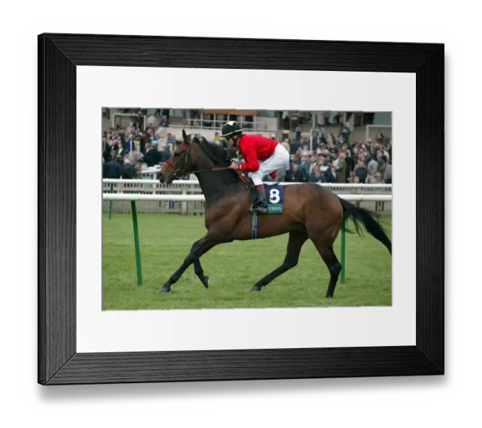 Framed Print : Hazyview Ridden By D.Holland Neewmarket Craven Meeting 2005 Newmarket Framed Print : Hazyview Ridden By D.Holland Neewmarket Craven Meeting 2005 Newmarket