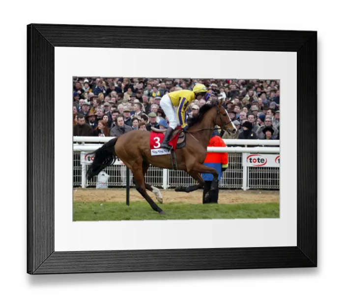 Framed Print : Behrajan Ridden By N.Williamson Cheltenham Festival 2002 Cheltenham Racecourse Framed Print : Behrajan Ridden By N.Williamson Cheltenham Festival 2002 Cheltenham Racecourse