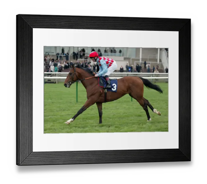 Framed Print : River Royale Framed Print : River Royale