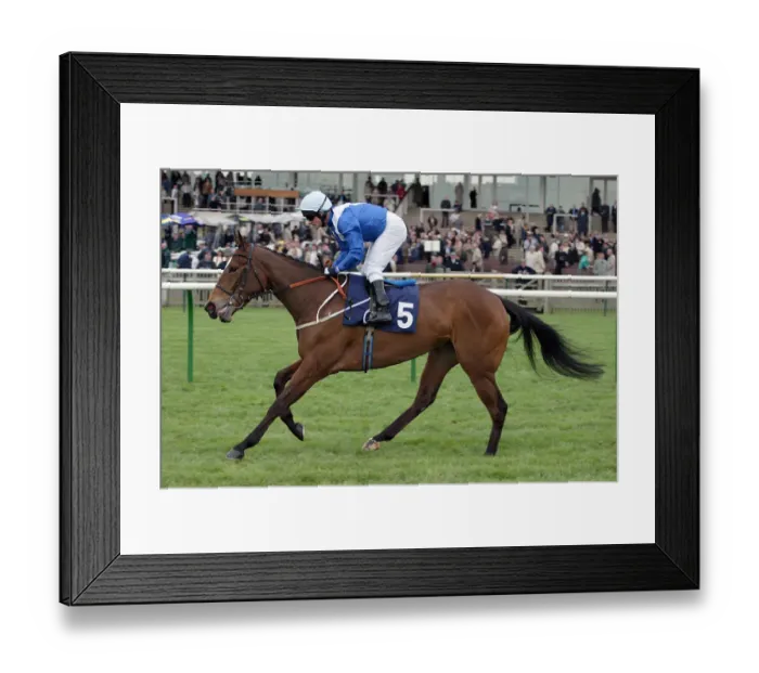 Framed Print : Starchy Ridden By K.Darley Newmarket Craven Meeting 2005 Newmarket Framed Print : Starchy Ridden By K.Darley Newmarket Craven Meeting 2005 Newmarket
