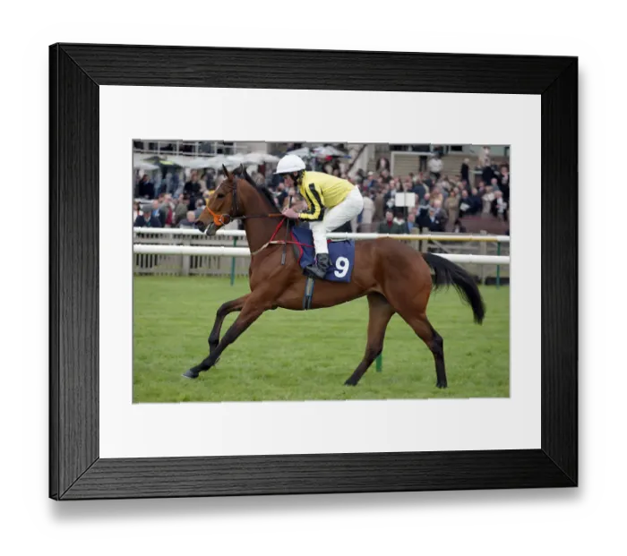 Framed Print : Vondova Ridden By R.L.Moore Newmarket Craven Meeting 2005 Newmarket Framed Print : Vondova Ridden By R.L.Moore Newmarket Craven Meeting 2005 Newmarket